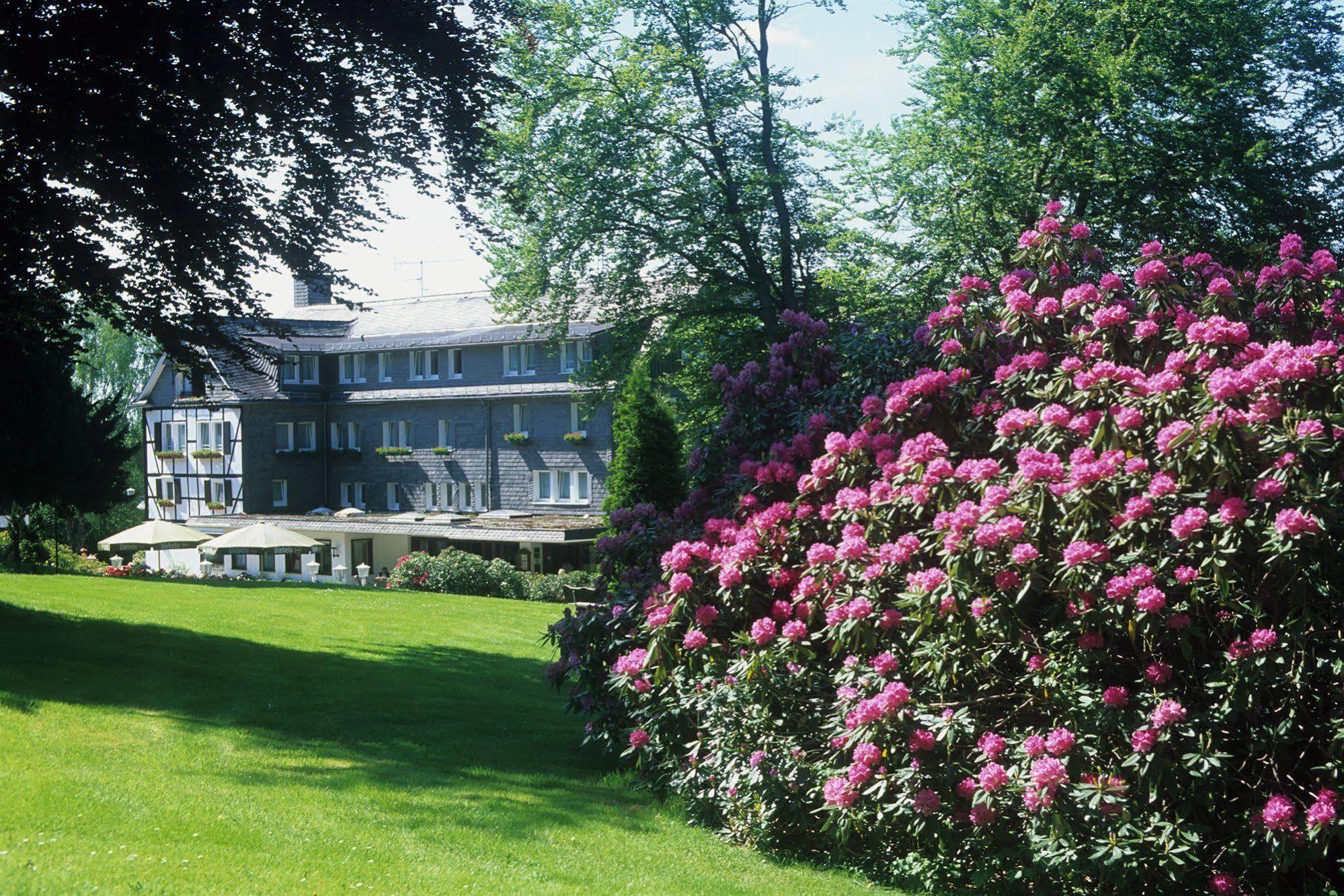 Hotel Jagdhaus Wiese Шмаленберг Екстериор снимка